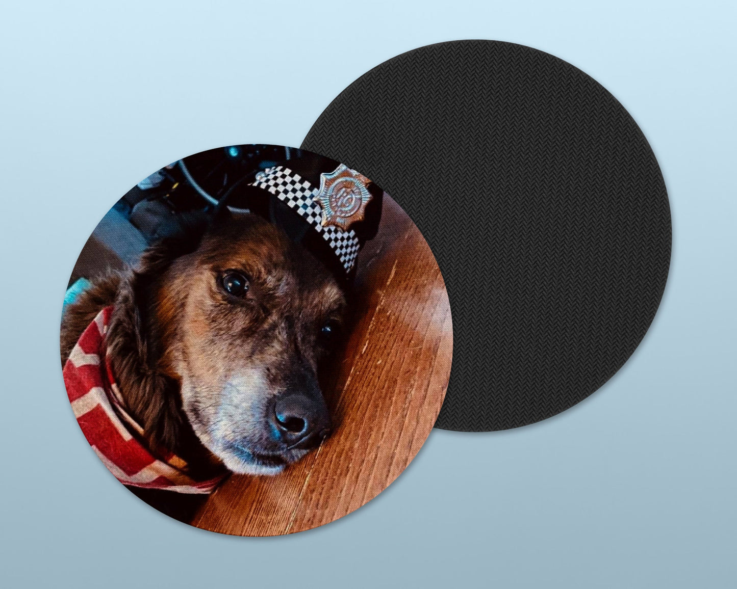 Custom Coaster Set, Pet Lover, Gift for Her, Lightweight Coasters, Personalized Home Decor, Animal Lover Gift,